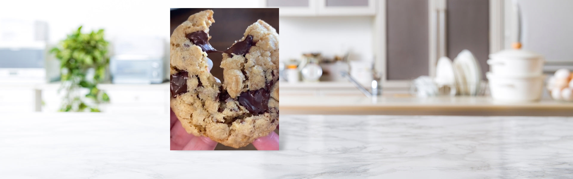 Soft Oatmeal Cookies Recipe – Tupperware Direct