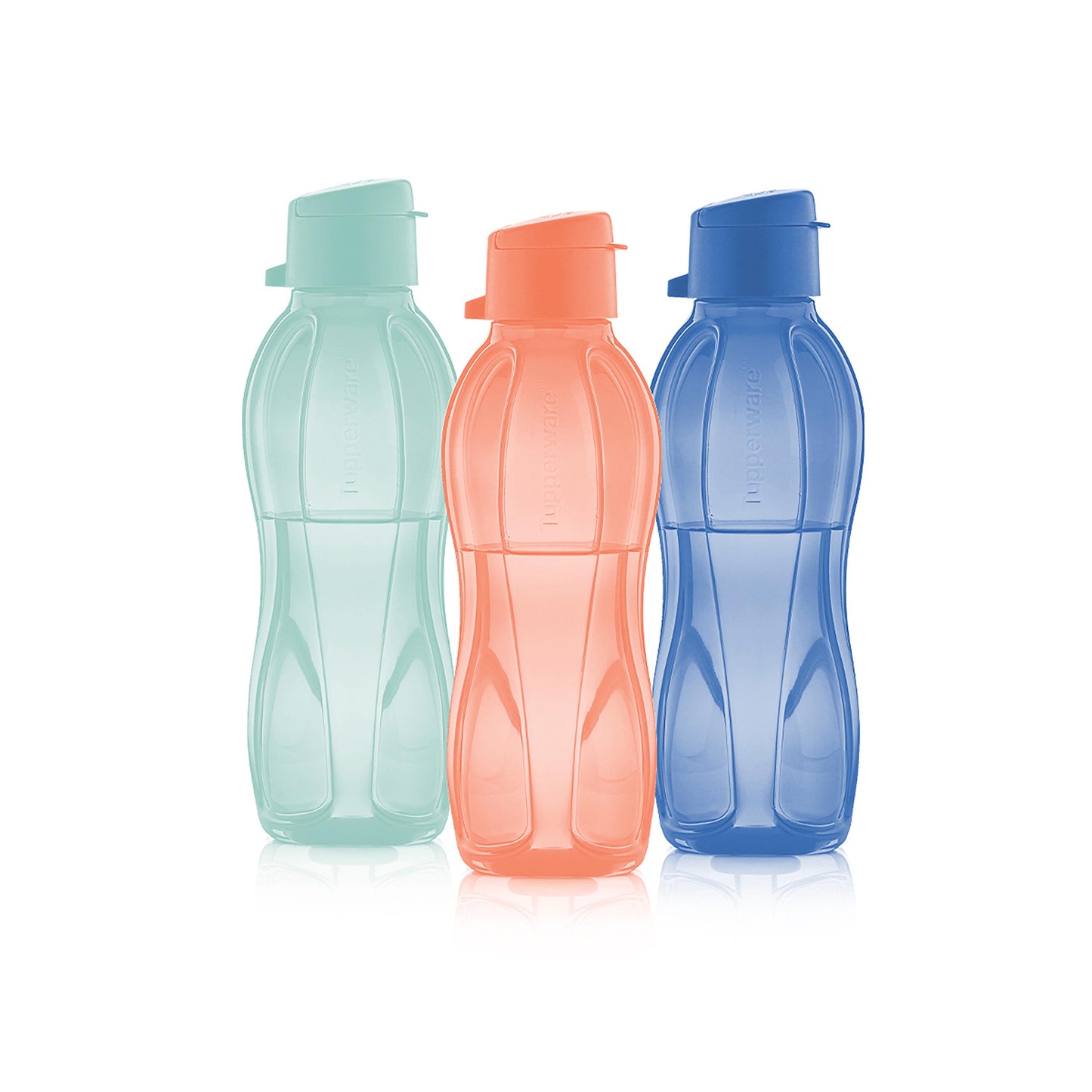 Eco+ Bottle| Small | 3-piece Set