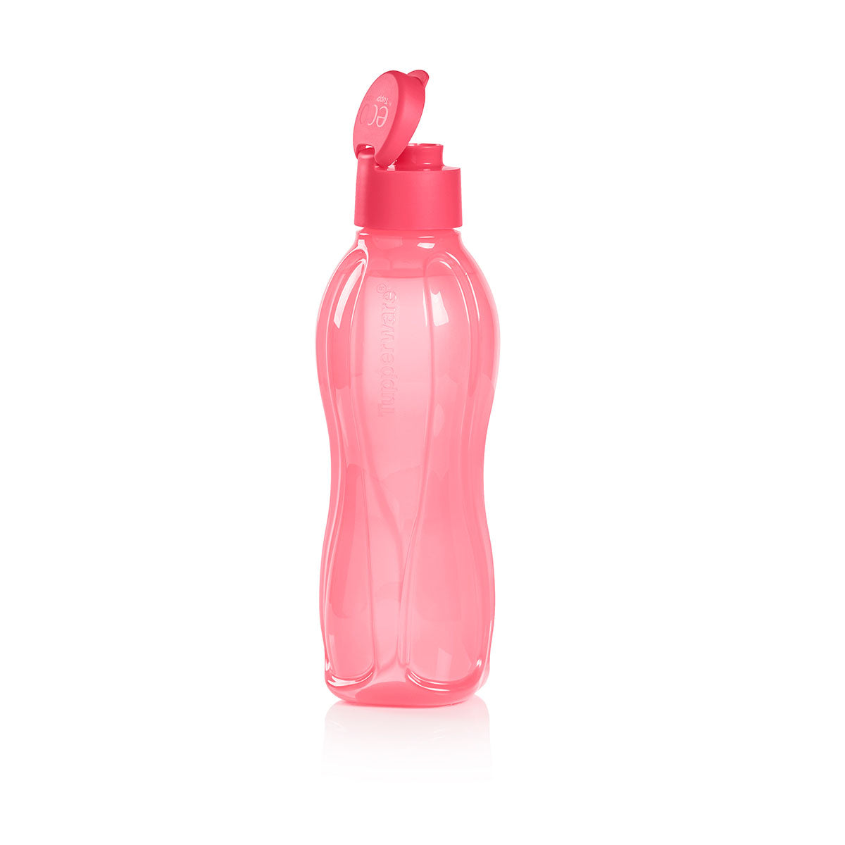 Eco+ Bottle | Large