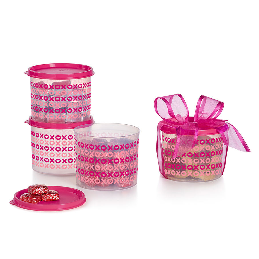 Mini Canister | 2½ Cup / 600 mL | 4-piece Set