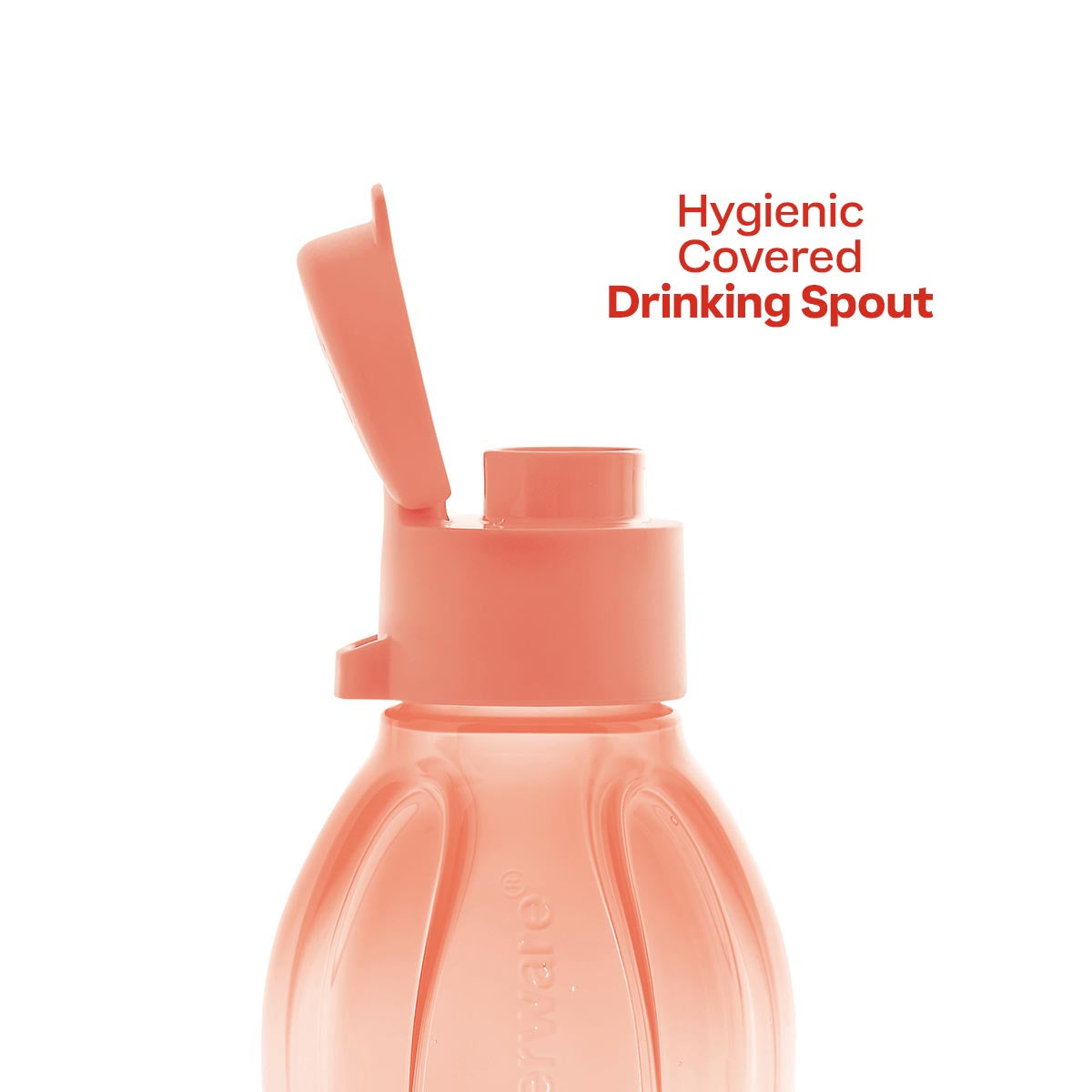 Eco+ Bottle | Small