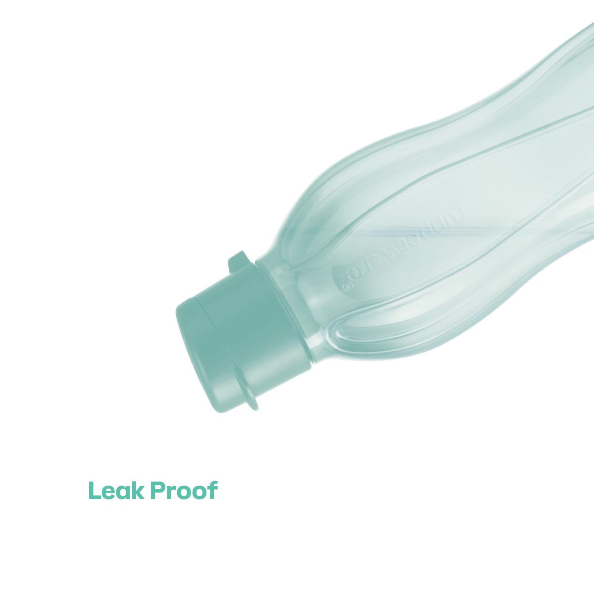 Eco+ Bottle | Small