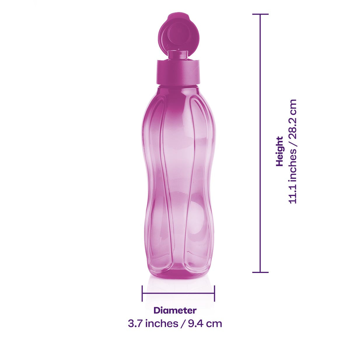 Eco+ Bottle | Large