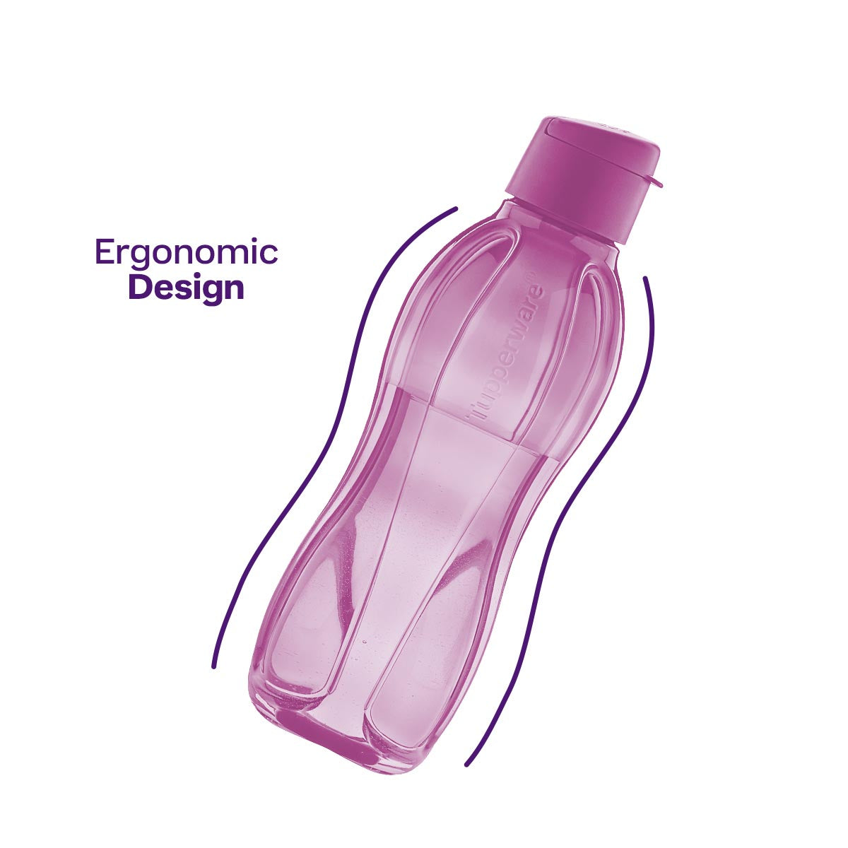 Eco+ Bottle | Large