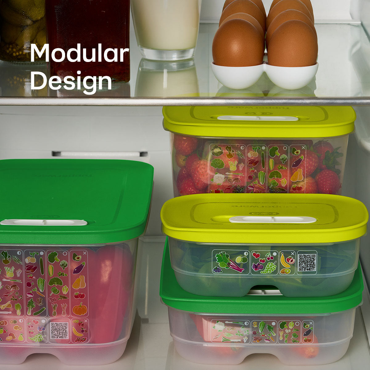 FridgeSmart® Containers