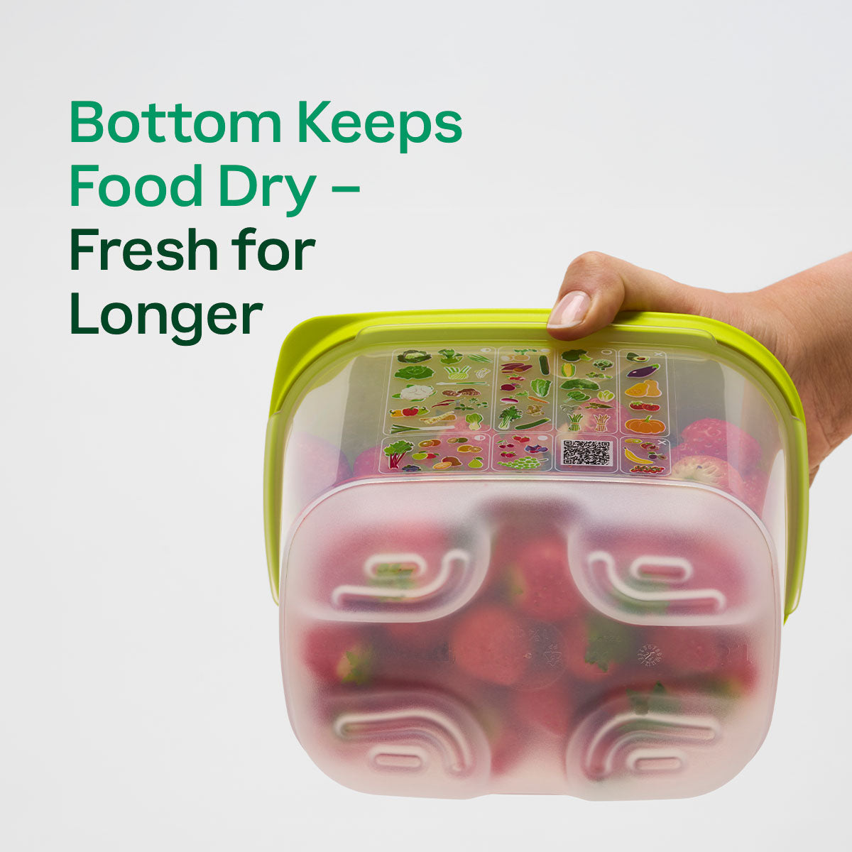 FridgeSmart® Containers