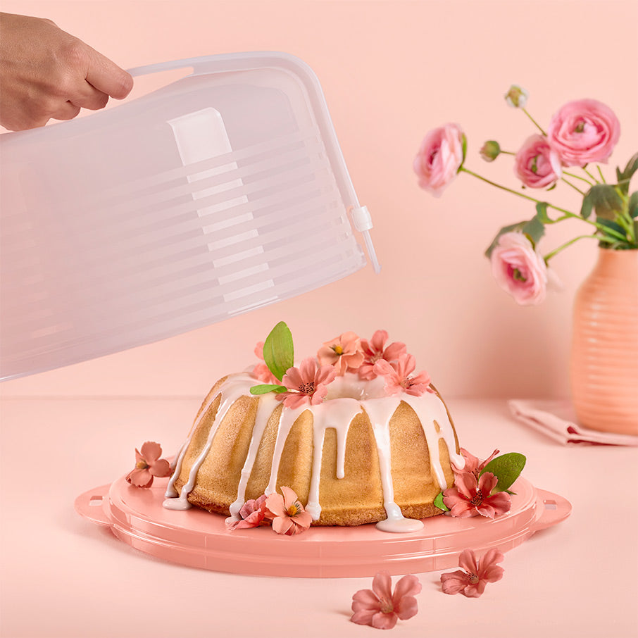 Round Cake Taker – Tupperware US