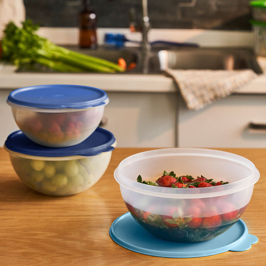 Tupperware Brand Wonderlier Bowl Set - 3 Containers to Prep, Store & Serve  Meals + Lids - Dishwasher Safe - BPA Free