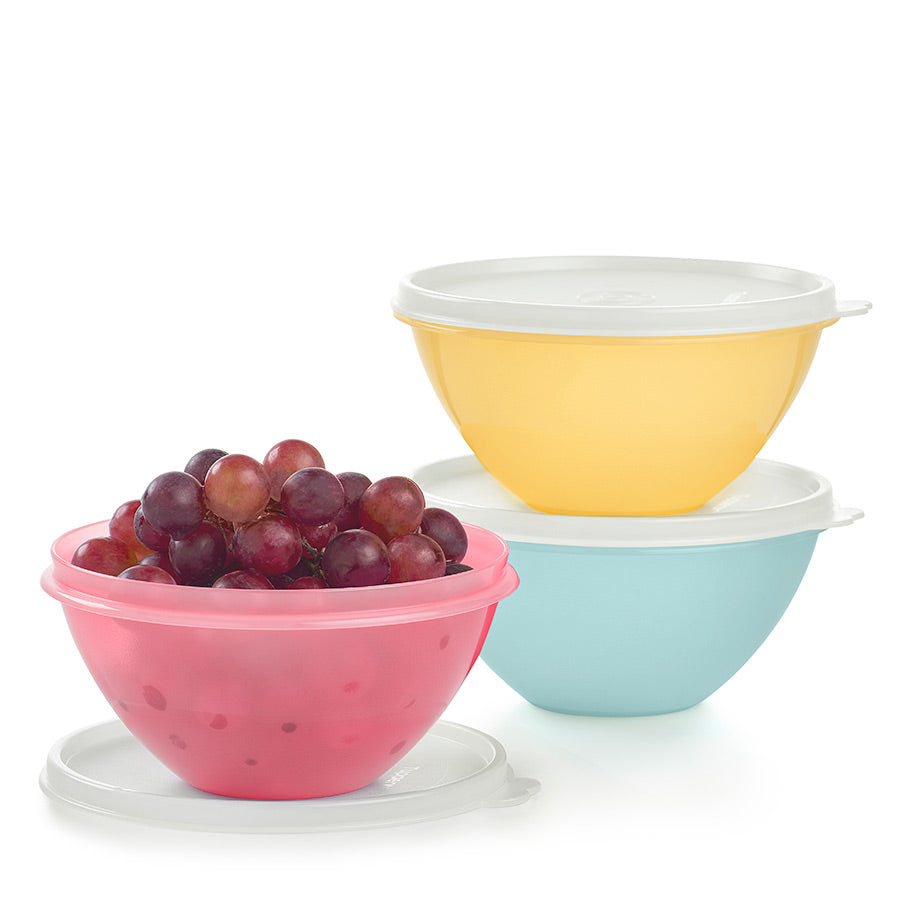 https://www.tupperware.com/cdn/shop/files/wonderlier-small-bowl-set-2307-3038.jpg?v=1695215670&width=906