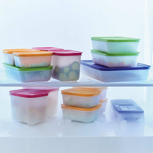 TUPPERWARE LARGE RECTANGLE LUNCH-IT DIVIDED DISH / CONTAINER GUAVA