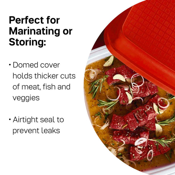 Vintage Tupperware Large Season Serve Meat Marinate Container