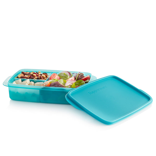 TUPPERWARE LUNCH food DIVIDEr CONTAINER Rectangle sandwich holder Elsa 11 pc