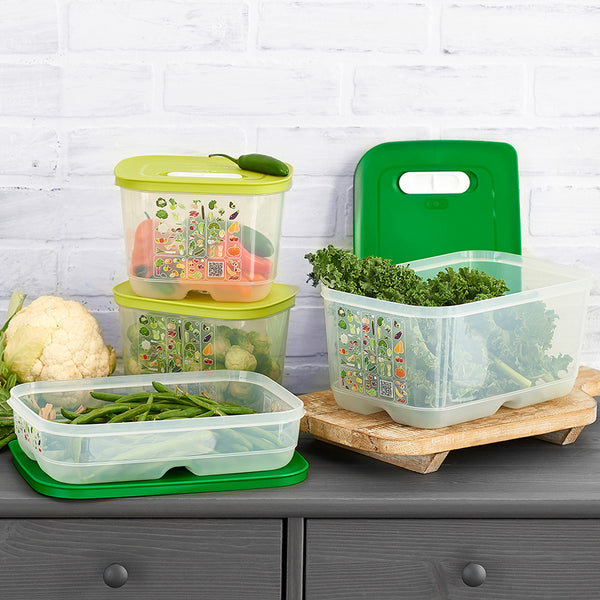 Tupperware Fridge Smart Large Round Vegetables Veggies Fresh Vents 20 Cups  4.7 L Green or Blue Lid Seal 3997 3998 Your Pick 