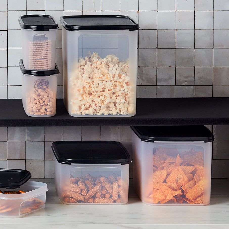 Modular Mates® Rectangular 2 – Tupperware US