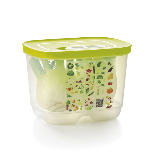 Small Food Storage Containers